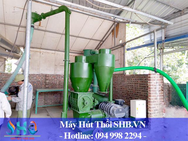 Lắp máy hút lúa 10 tấn/h tại Thái Nguyên