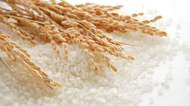 Lúa gạo Châu Á: Giá tăng tại Việt Nam, vững ở Ấn Độ và giảm ở Thái Lan 2019
