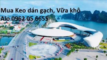 202 Điểm Bán Keo Dán Gạch, Vữa Khô Trộn Sẵn Tại Quảng Ninh